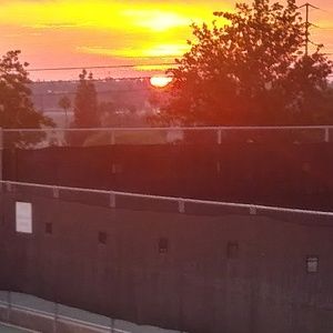 Meet your Posher, Thehungryseller